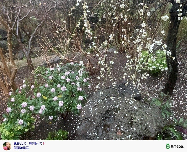 出所：假屋崎省吾の公式ブログ　参照日：2026年2月26日