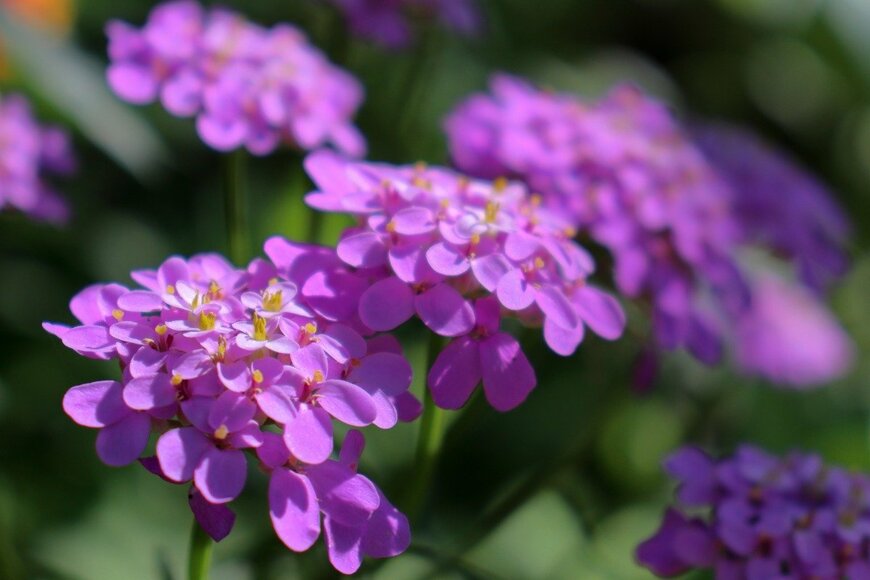 Alexander Gabriel/istockphoto.com