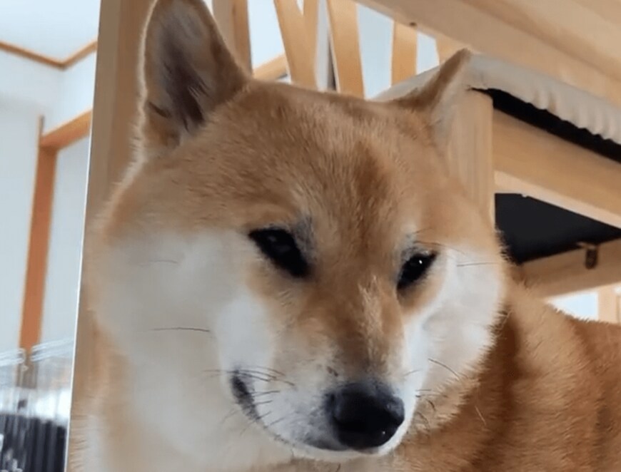 出所：@fufufufufu_ta