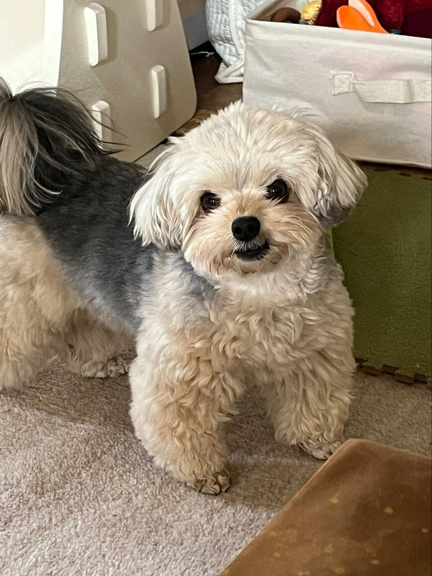 出所：@potage_0924