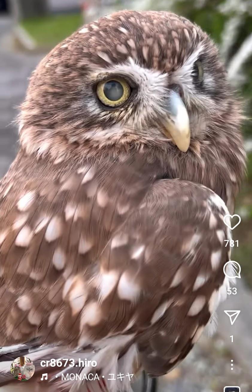 出所：@cr8673.hiro