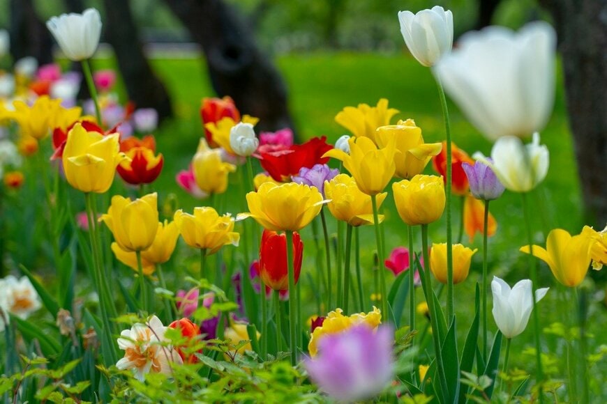 masterSergeant/istockphoto.com