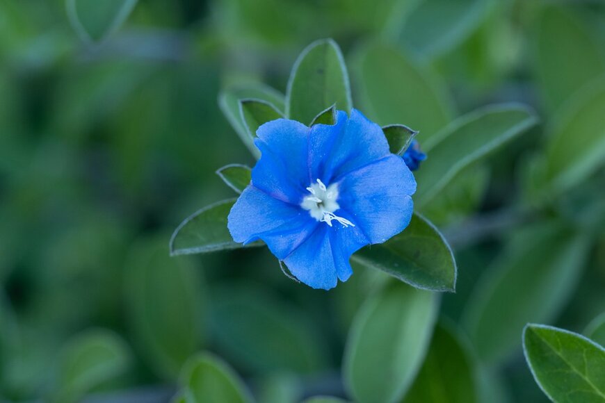 F_studio/Shutterstock.com