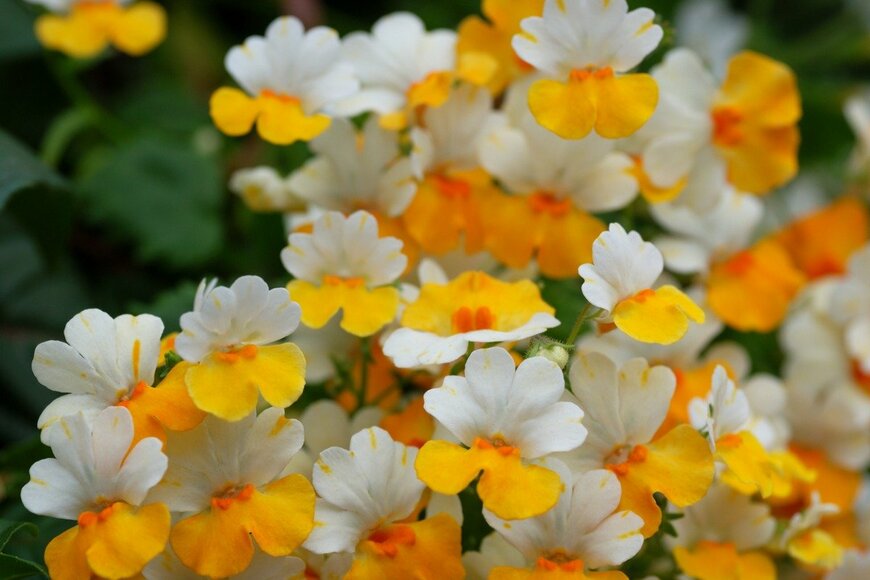 kongxinzhu/istockphoto.com