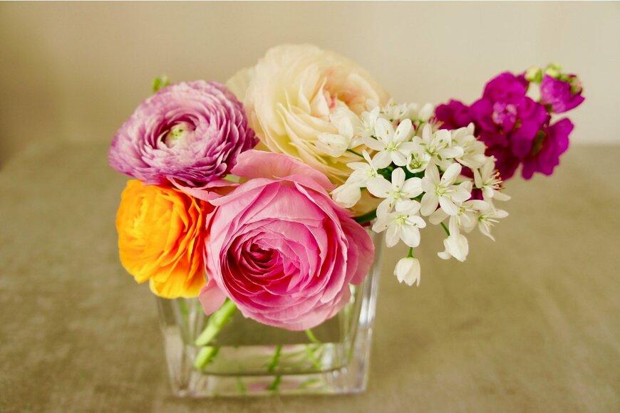 Sakura room/Shutterstock.com