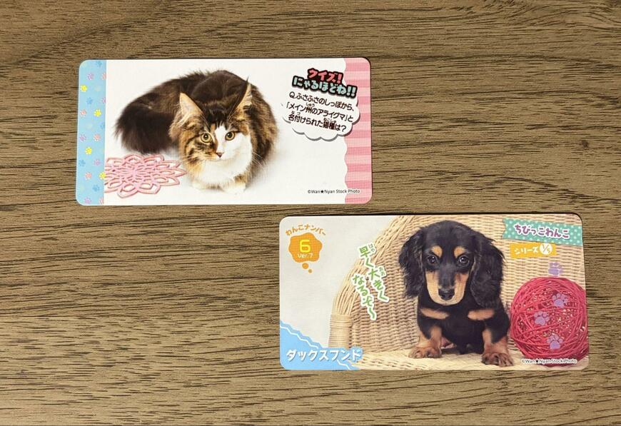 筆者撮影（ダイソー、きまぐれねこにゃん・おしゃべりわんこ）