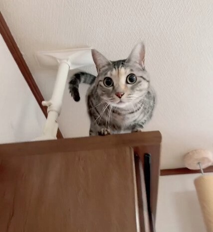 出所：@hikaitimilky