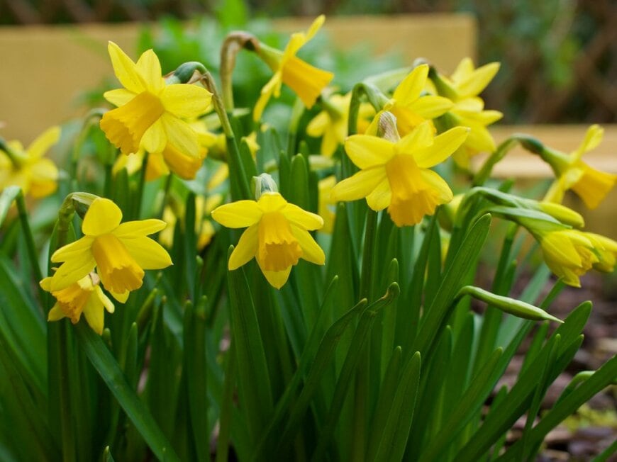 Krzysztof Pazdalski/shutterstock.com