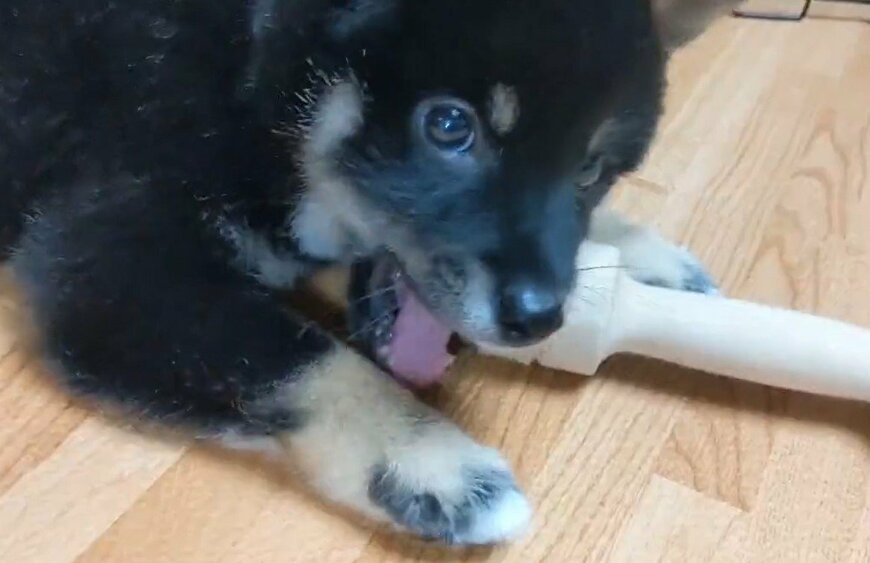 出所：@BLshiba_tensuke