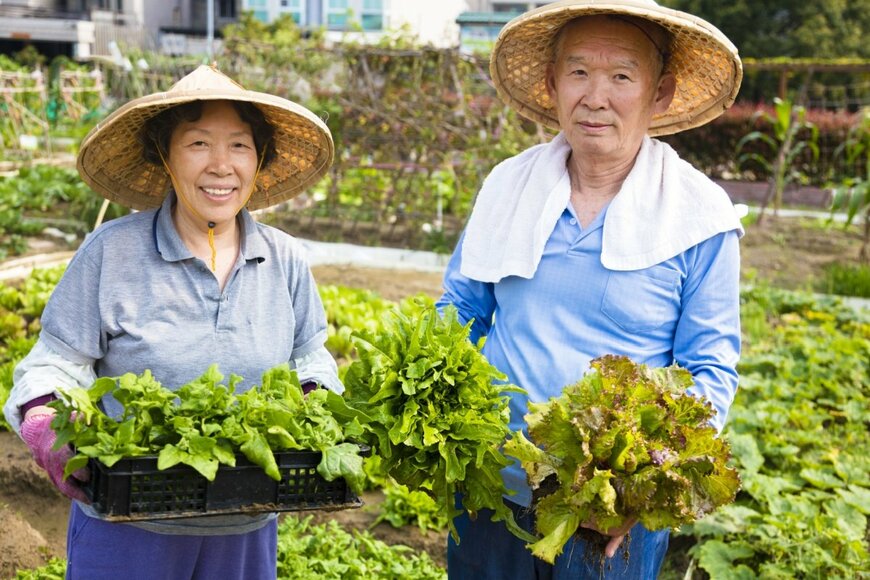 「65歳ですっぱり引退」は難しい？シニアの就業率や貯蓄、年金額の実態とは