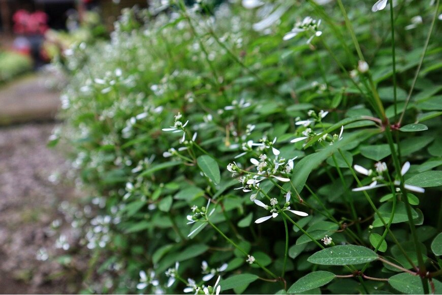 Riocool/istockphoto.com