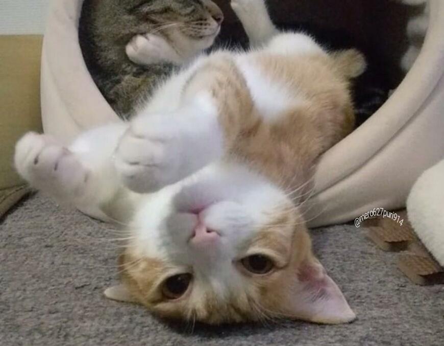 出所：@mero627puri914