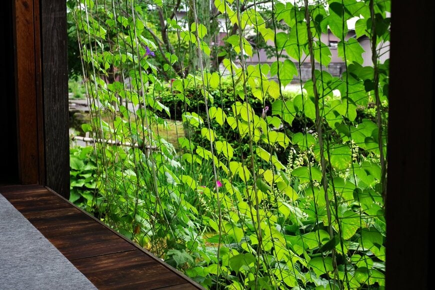 gorosan/Shutterstock.com