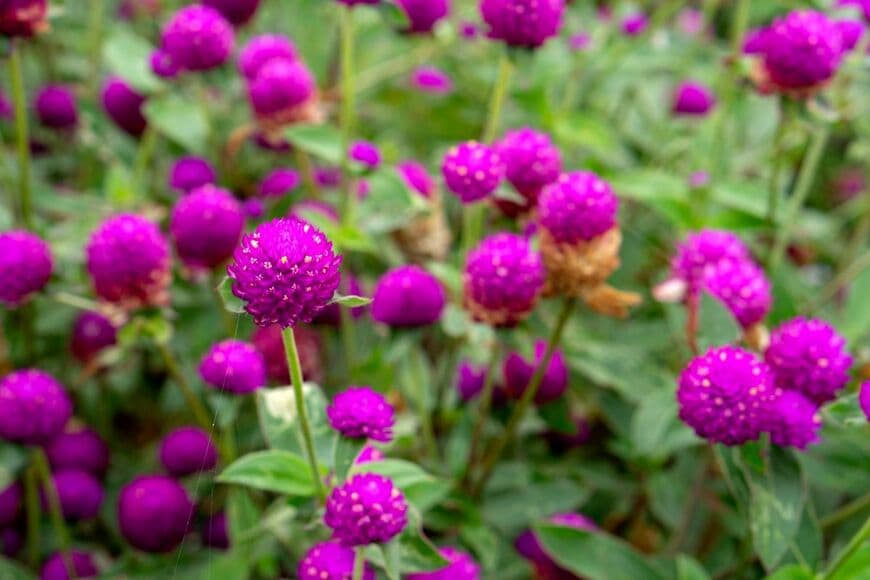 By Jibond/shutterstock.com