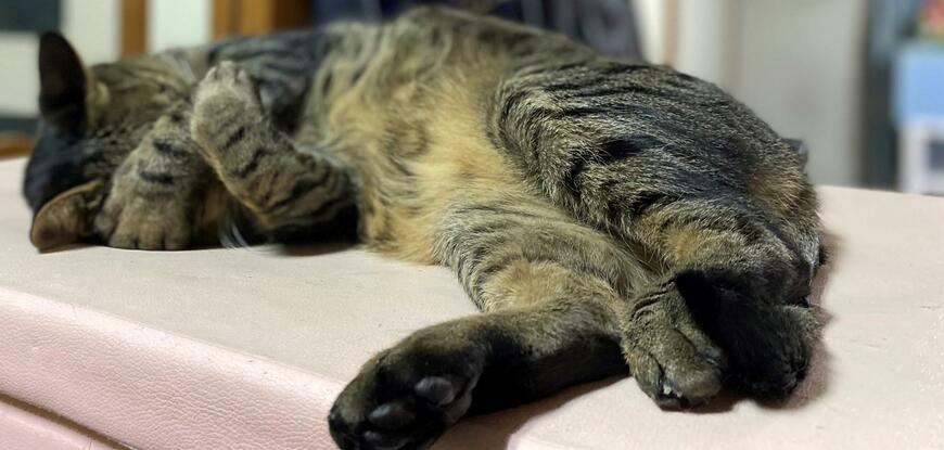 出所：@luna7taka9