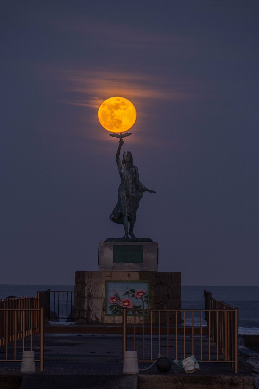 出所：@pomu_iyashi