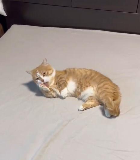 出所：@kotaro_0315