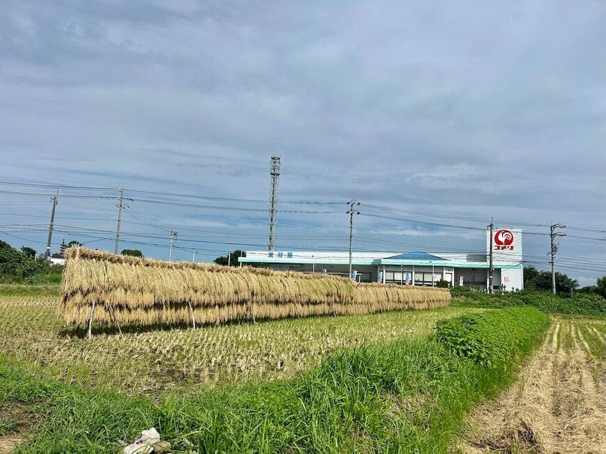 のどかな大山町の景色