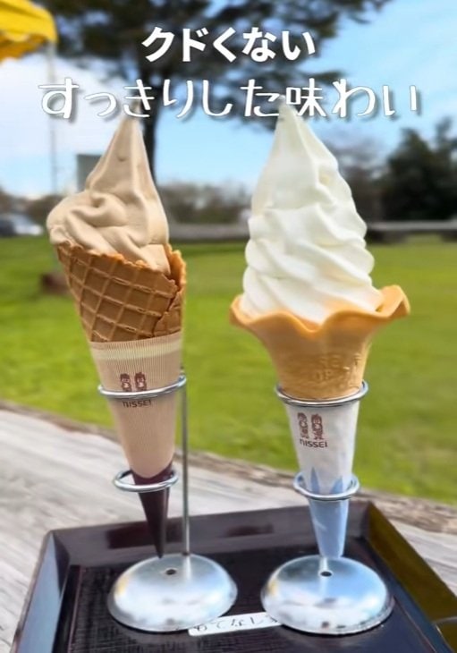 「道の駅良寛の里わしま」のガンジーソフト