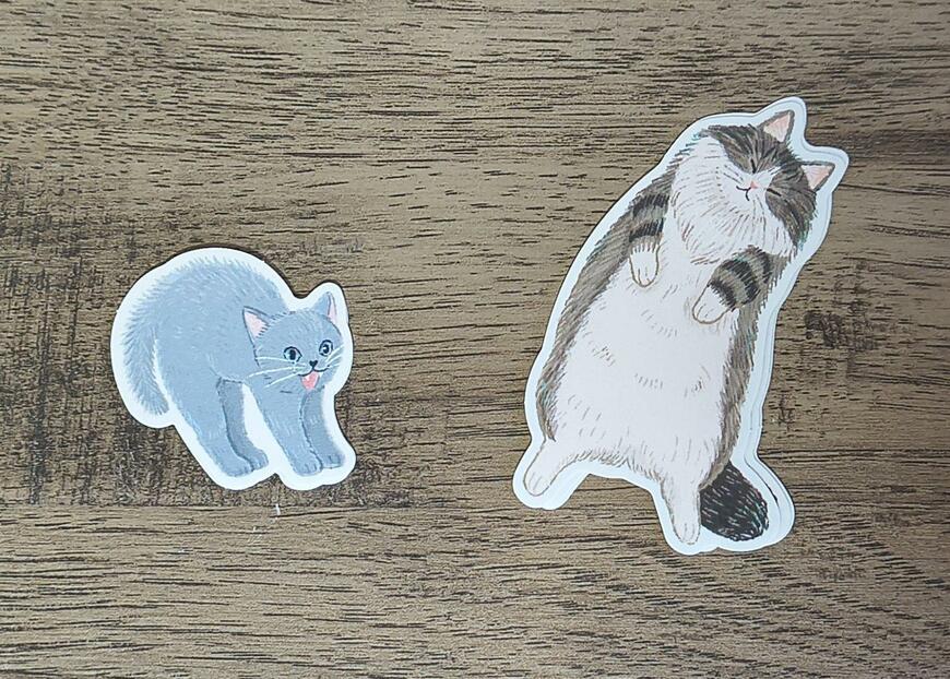 セリア、上質フレークシール 大きな猫の画像