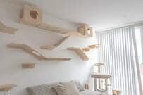 キャットウォークはDIYできる？賃貸・持ち家別の作り方と安全に作る注意点