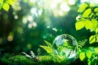 日本で二番目に「森林率」が高い都道府県はどこ　気になる正解率は約2割だった