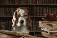 【年金一覧表】厚生年金・国民年金「いまどきシニア」ひと月の受給額はいくらか