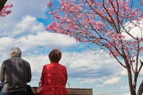 【老後】ひとりの生活費は月約16万円。厚生年金の平均月額は「男性約16万円・女性約10万円」という現実