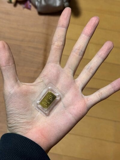 この大きさで10万円超え