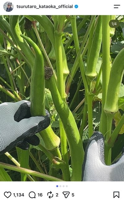 片岡鶴太郎のInstagram投稿