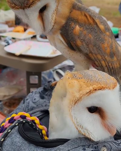 投稿動画のワンシーン