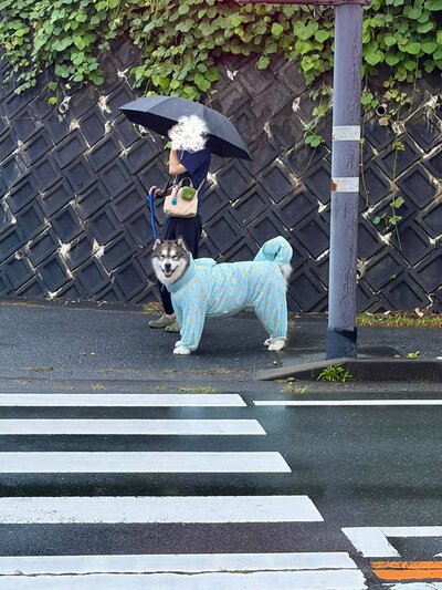 ニッコリ笑顔になるアルちゃん