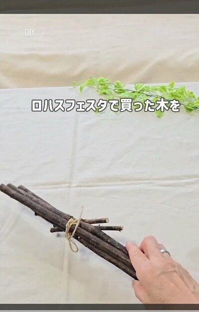 変身前の木の枝