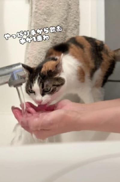 投稿動画のワンシーン