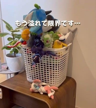 投稿の画像