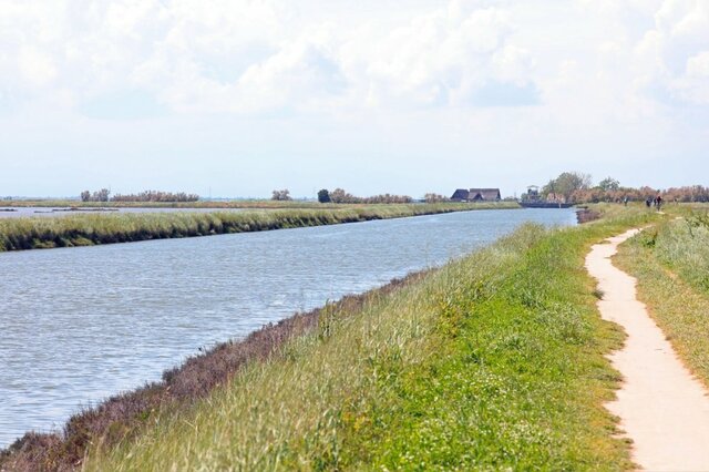 メジロが浅瀬で水浴びをしてると思ったら…無防備すぎる驚きの姿に「開放感すごい」「ヘソ天のよう」