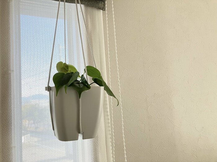 簡単にインテリア性の高いハンギンググリーンに大変身！