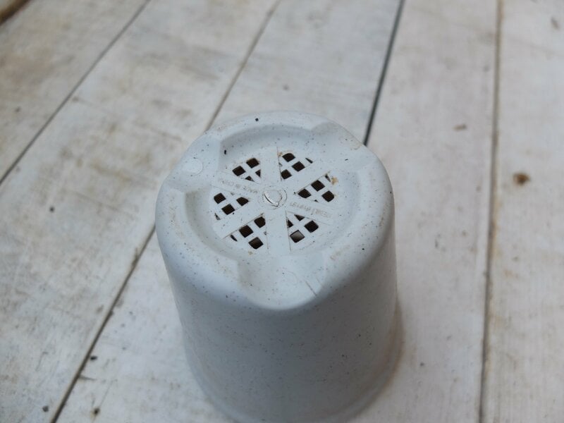 ダイソー、植木鉢（円形）4号、12cm筆者撮影写真