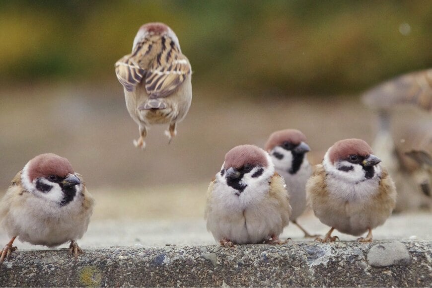 出所：投稿主様からの提供画像