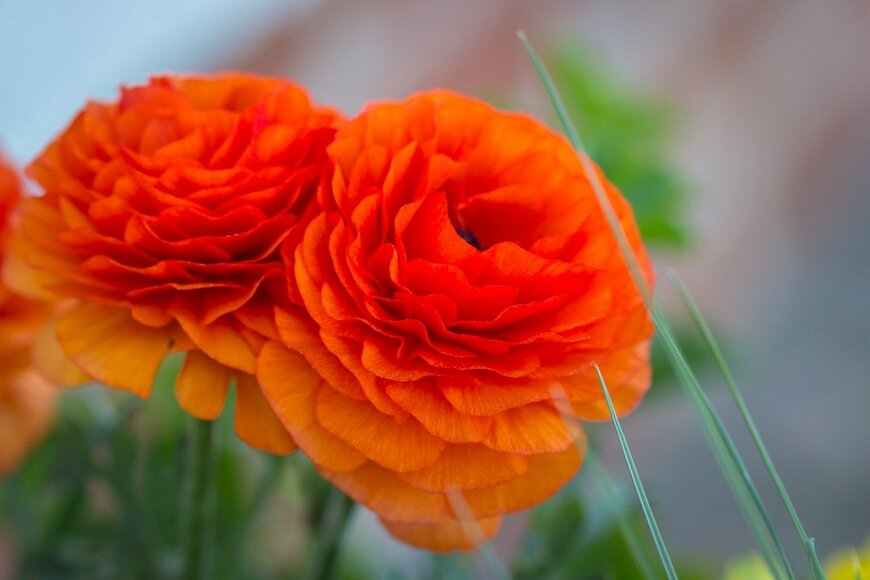 Christian Buch/istockphoto.com