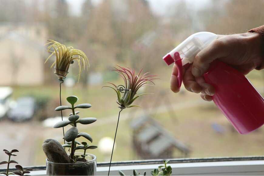 giedre vaitekune/Shutterstock.com