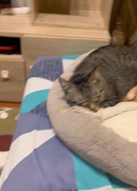 出所：@kagisuzu0531