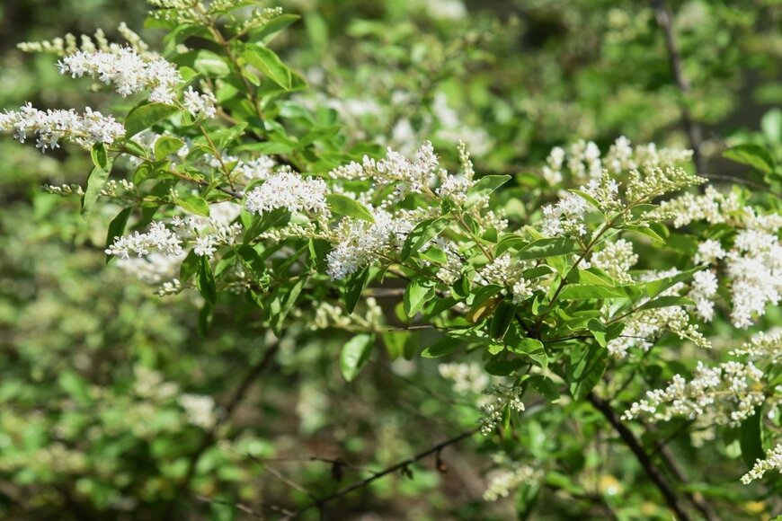 undefined undefined/istockphoto.com