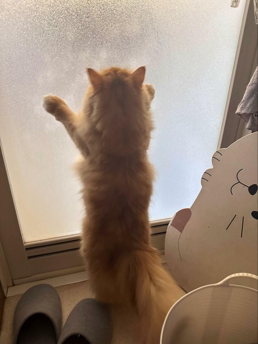 出所：@NEKOLAND13