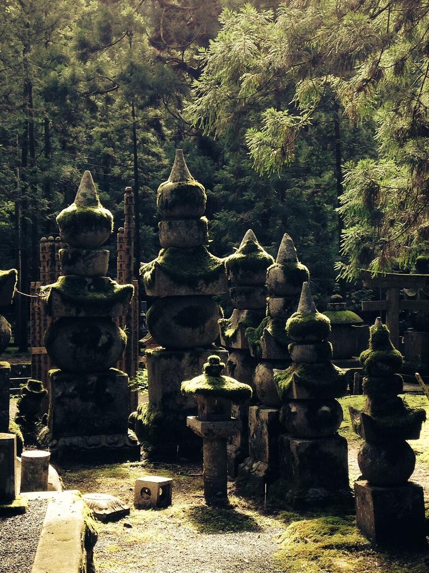 写真：筆者撮影