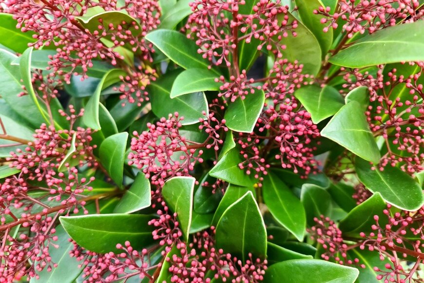 Wirestock/istockphoto.com