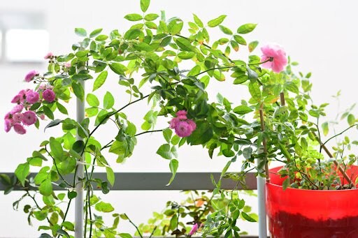 izuminzima/shutterstock.com