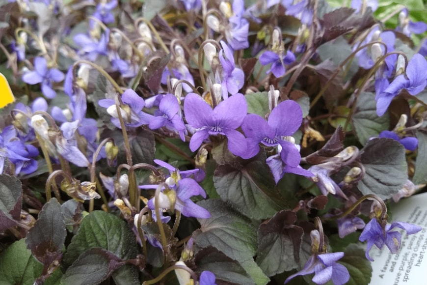 John Caley/istockphoto.com