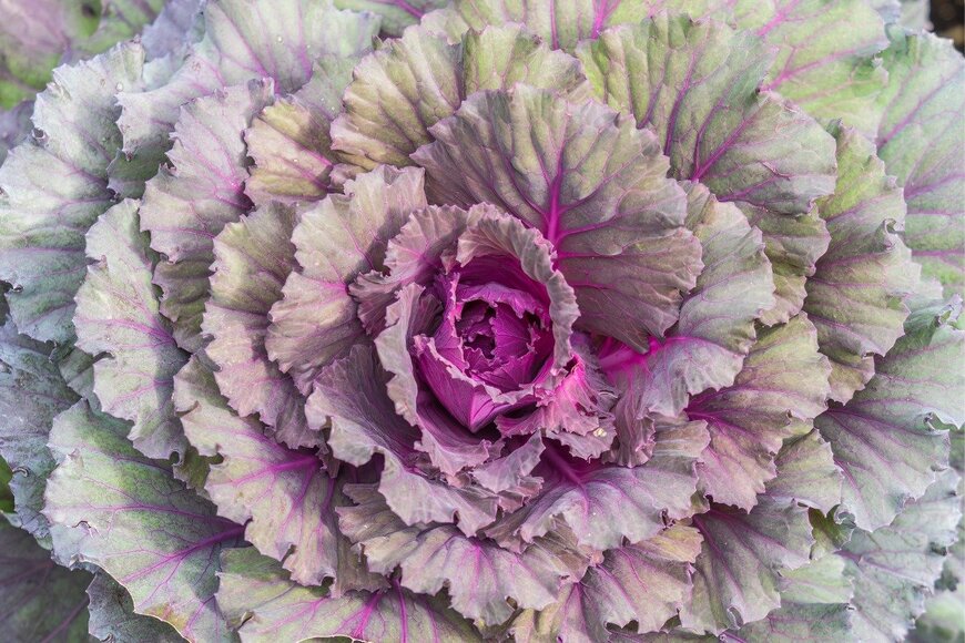 Dmitry Potashkin/istockphoto.com