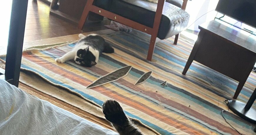 出所：@00shitemita